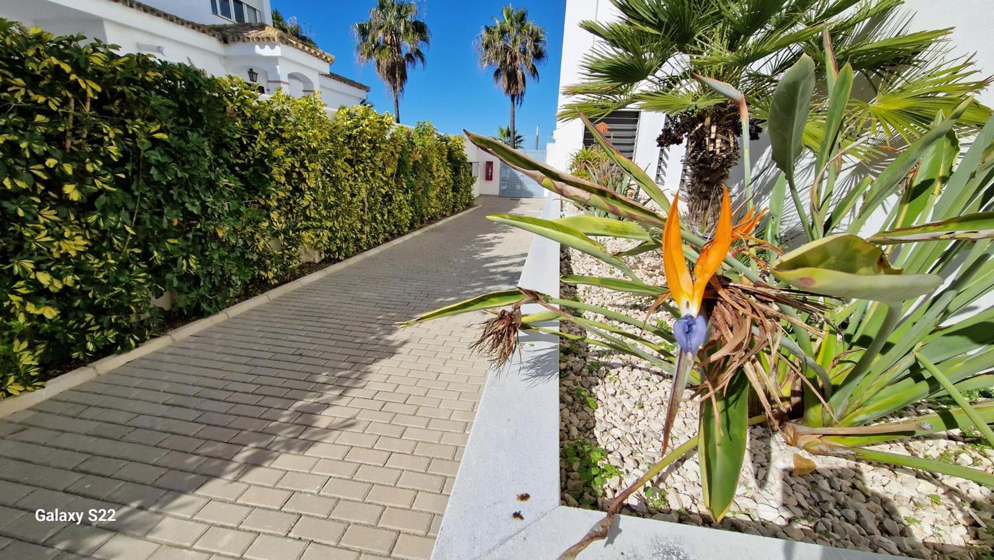 Апартаменти Boutelou Playa Con Vistas Al Mar Санлукар-де-Баррамеда Екстер'єр фото